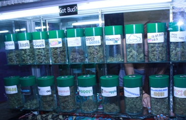 marijuana cases of bud